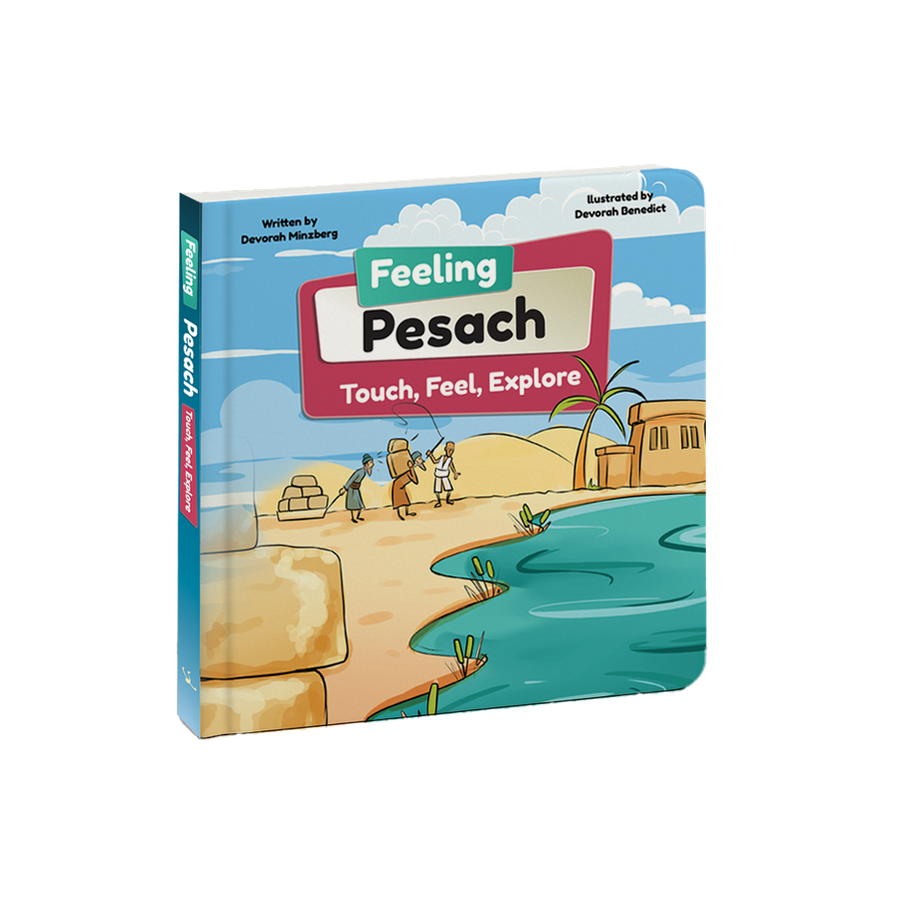 Book Feeling Pesach Touch Feel Explore 80/cs