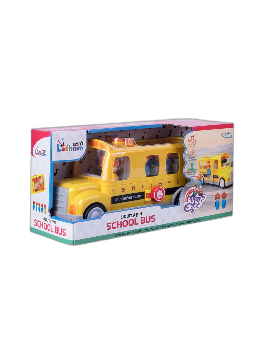 Mein Ershta School Bus 24/cs
